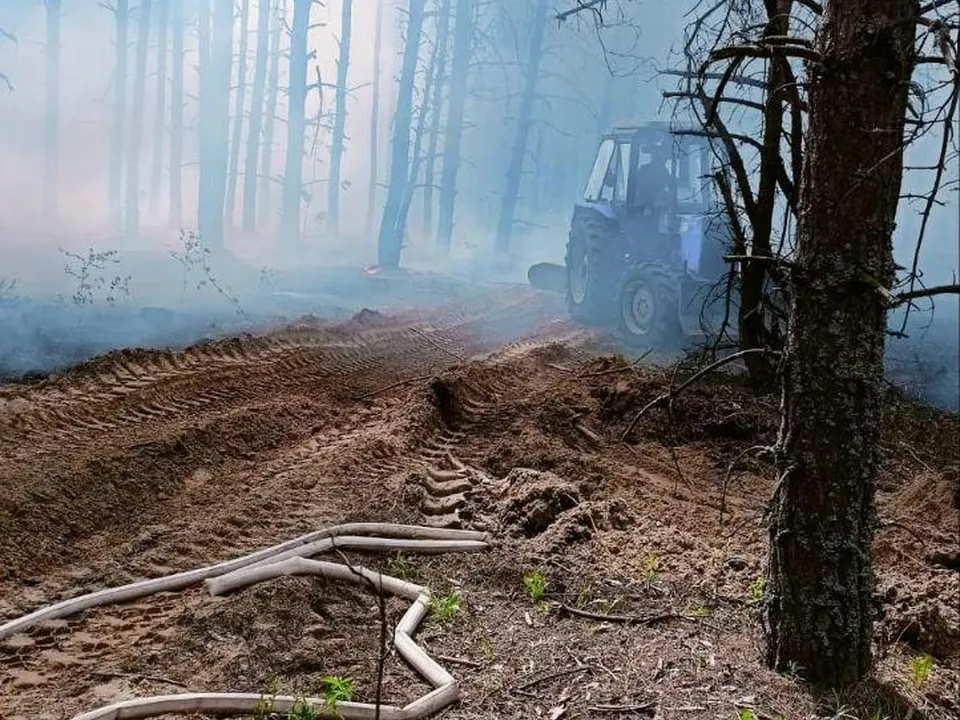 Фото: Комлесхоз МО