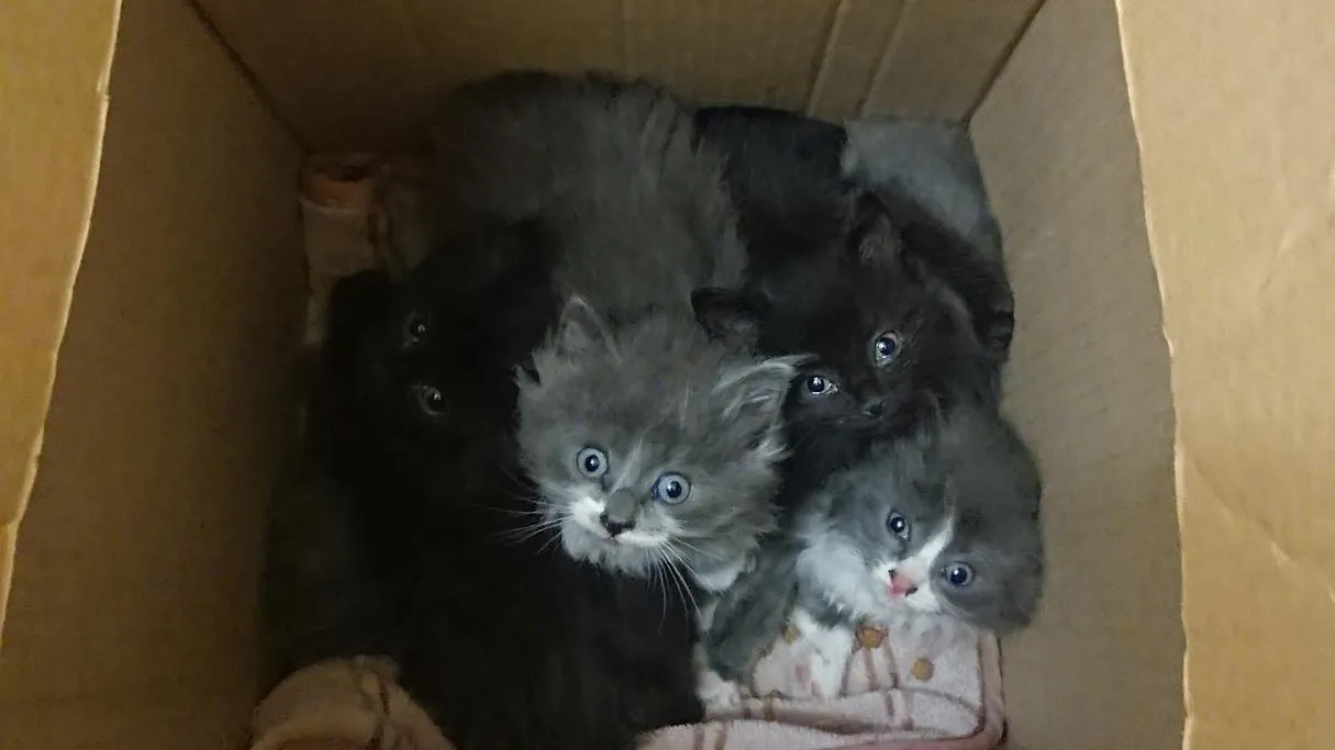 Фото: Подслушано на Глебовке (новая) / ВКонтакте