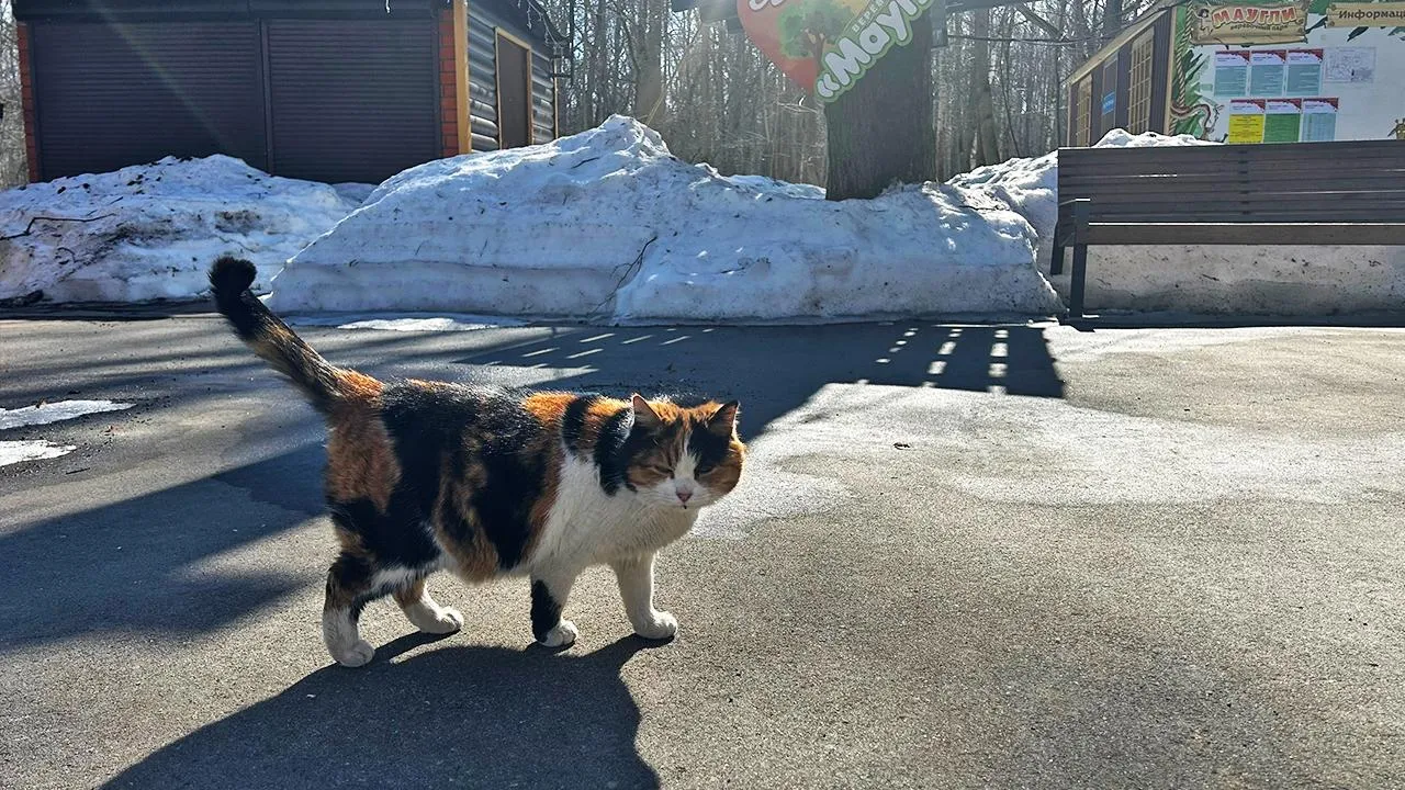 Парки Ступина