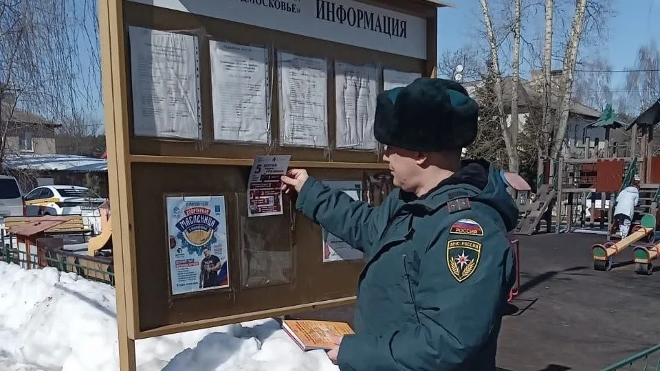 Фото: Главное управление МЧС России по Московской области