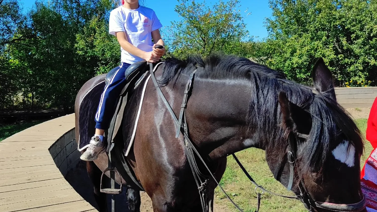 Фото: пресс-служба администрации м.о. Зарайск