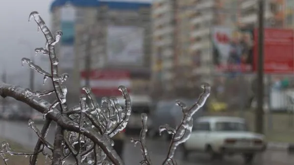 Температурный минимум зафиксировали в Подмосковье