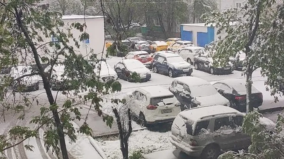 Фото: Елена Присакарь