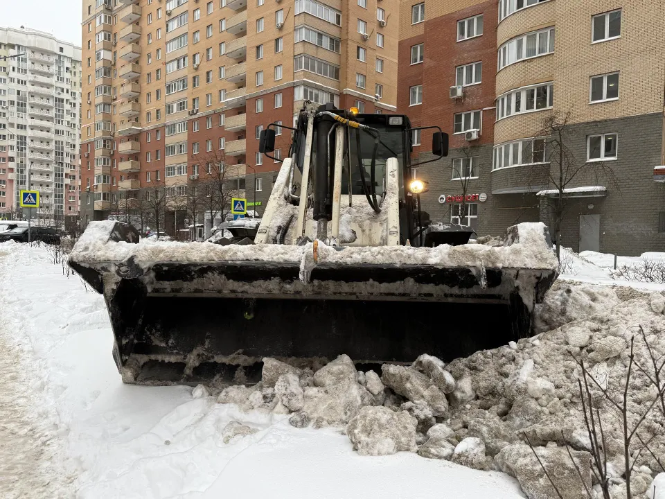 Фото: МедиаБанк Подмосковья/Анна Дука
