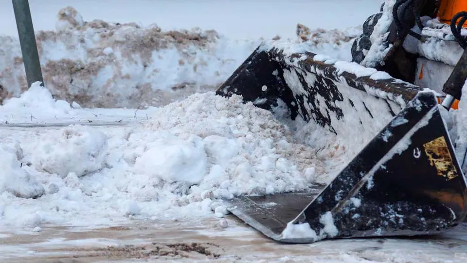 Фото: администрация г. о. Солнечногорск