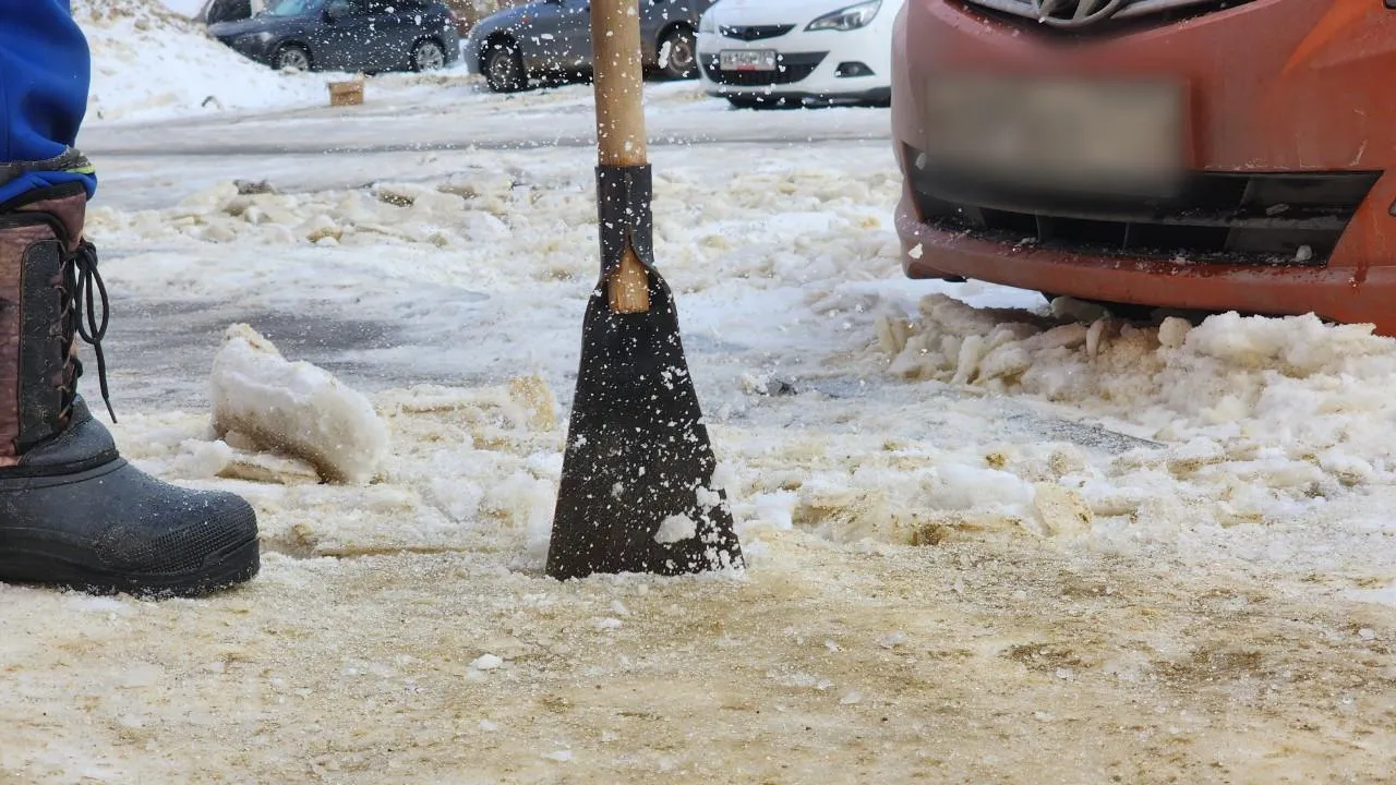 МедиаБанк Подмосковья/Анастасия Сараева