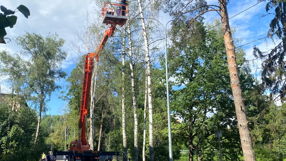 Фото: МедиаБанк Подмосковья/Елена Аботурова