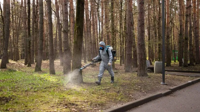 Фото: t.me/parkidmd