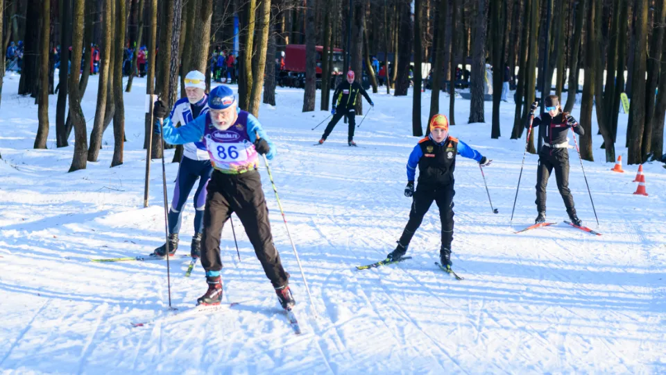 Фото: МедиаБанк Подмосковья/Данила Новак