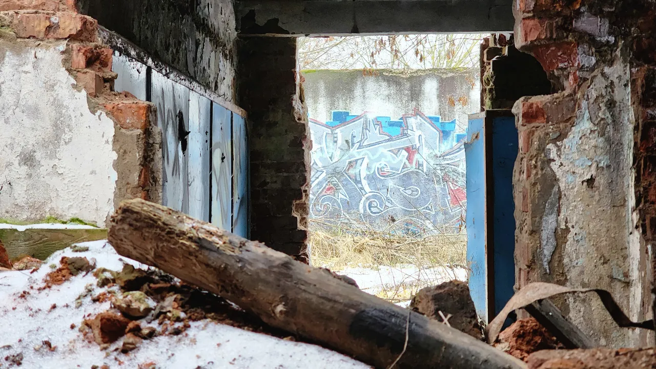 МедиаБанк Подмосковья/Ксения Пашуто