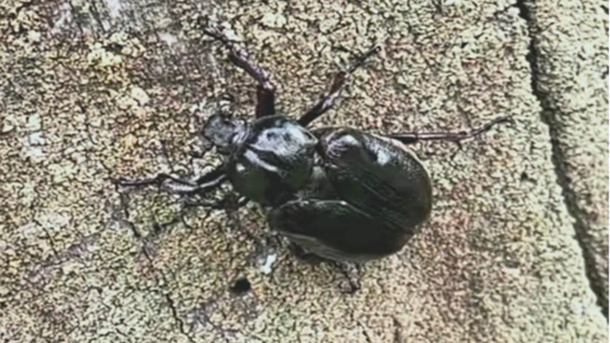 фото: Минэкология МО