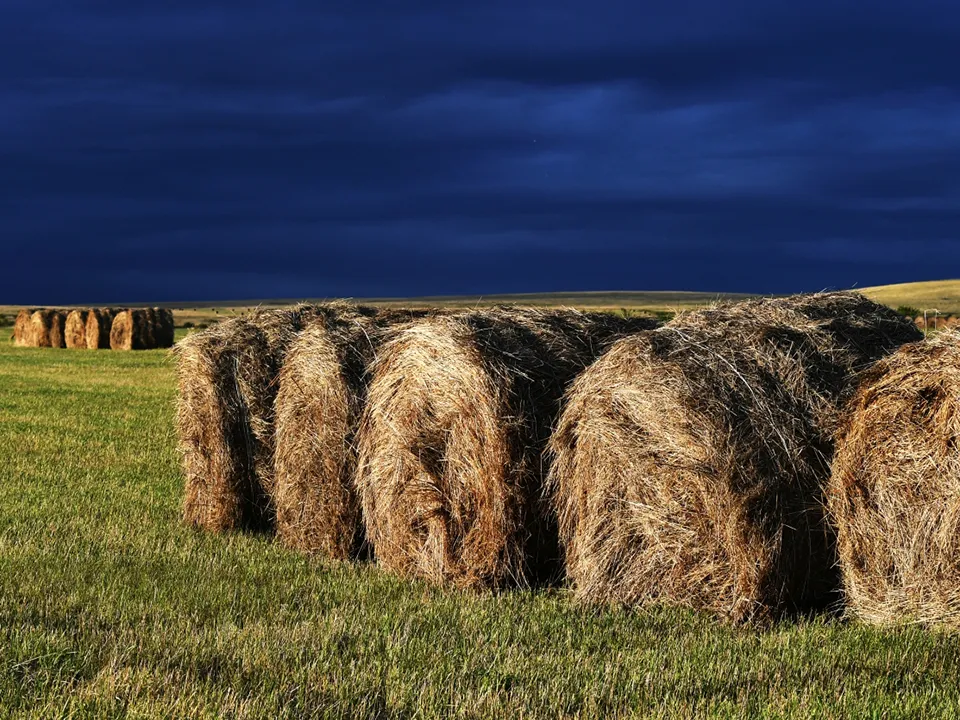 Фото: РИА Новости/Илья Наймушин