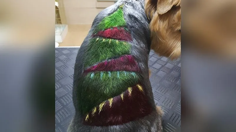 «Под елочку» стригут четвероногих питомцев к празднику в Подмосковье