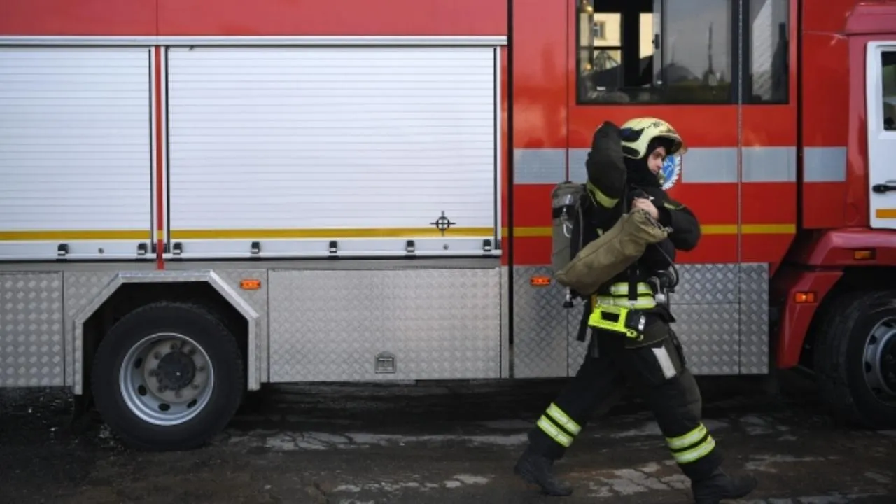 Более сорока животных погибло из-за пожара в саратовском зоопарке