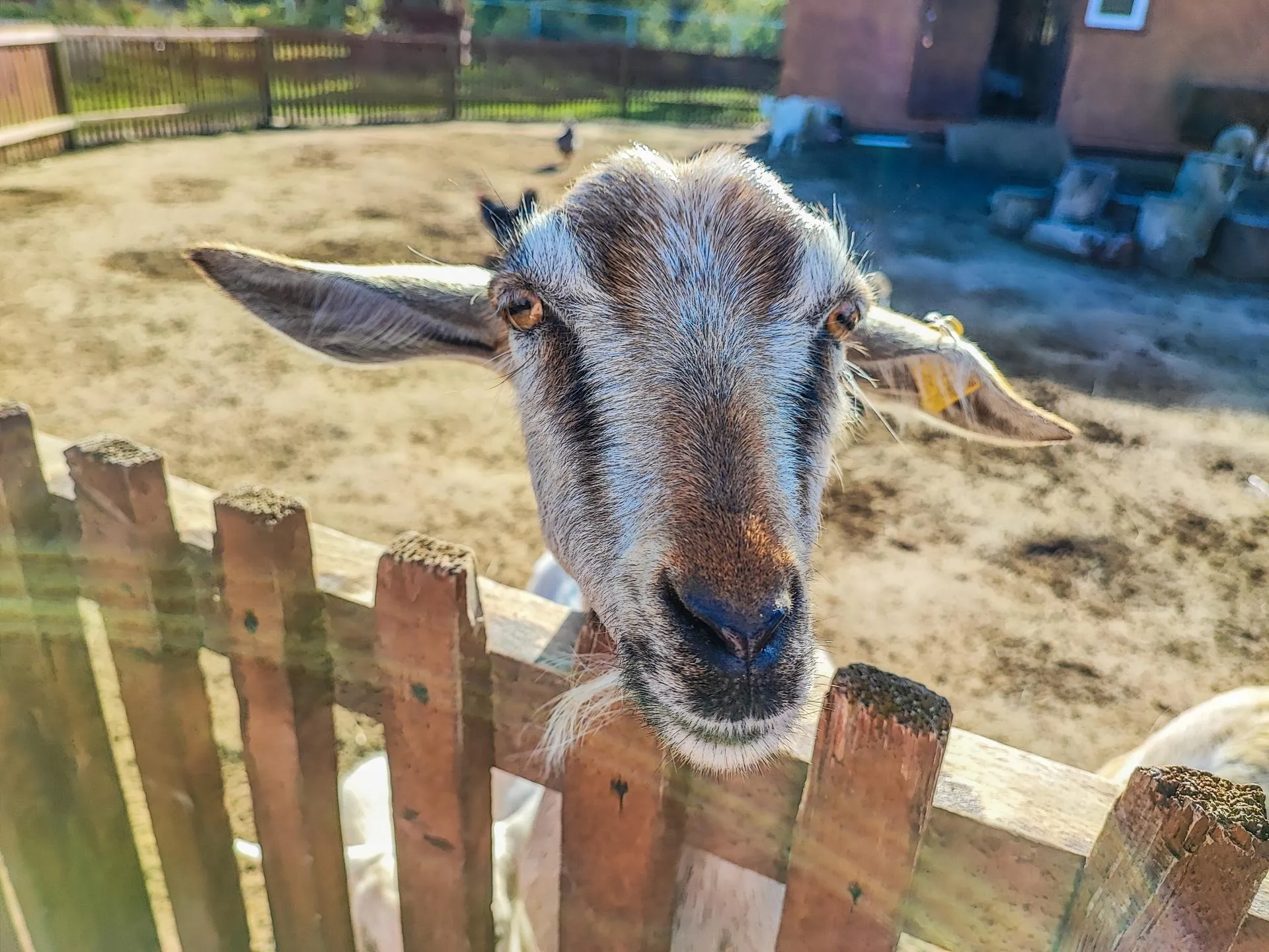 Данила Кирьянов