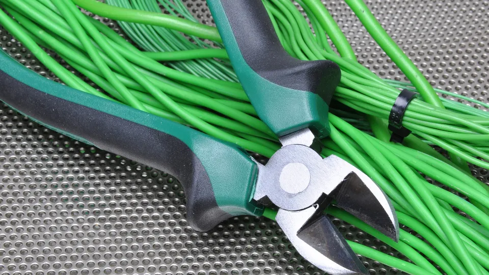 Фото: istockphoto.com/FactoryTh