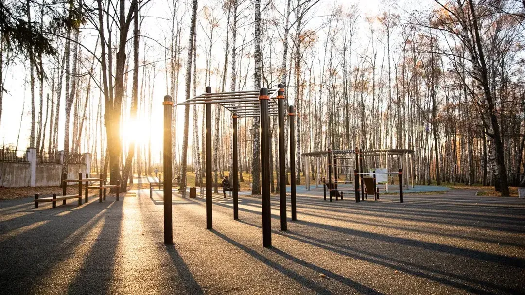 Фото: Антон Чернов / «Подмосковье сегодня»