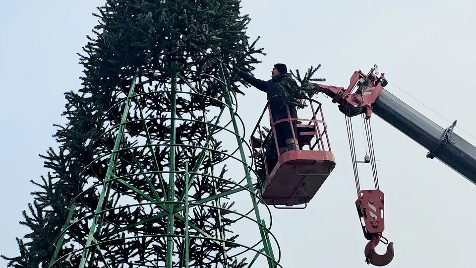 Фото: Медиабанк Подмосковья/Анна Шолохова