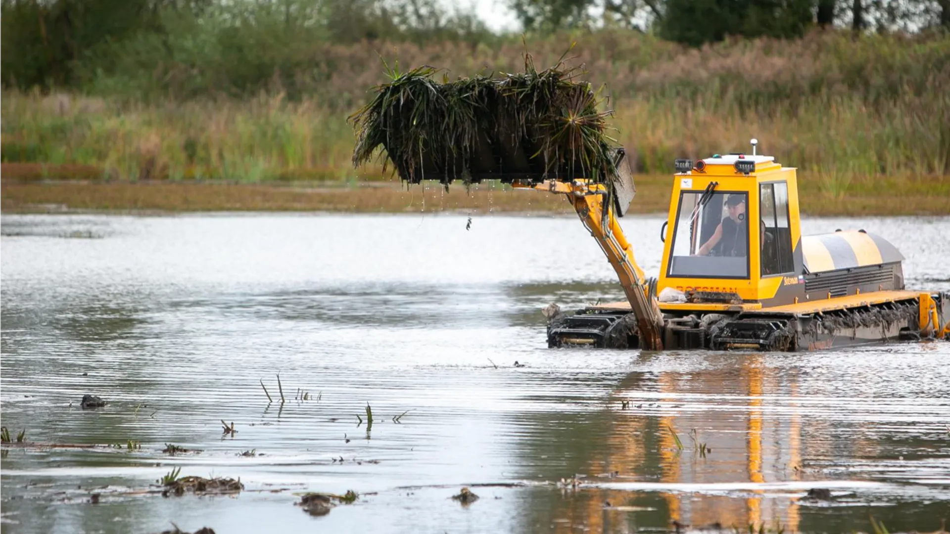 Фото: пресс-служба администрации городского округа Коломна