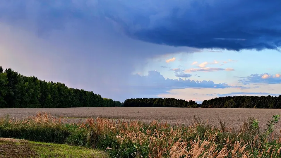 Фото: REGIONS/Алексей Селиверстов