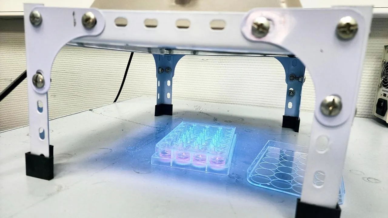 REGIONS/Мария Панина