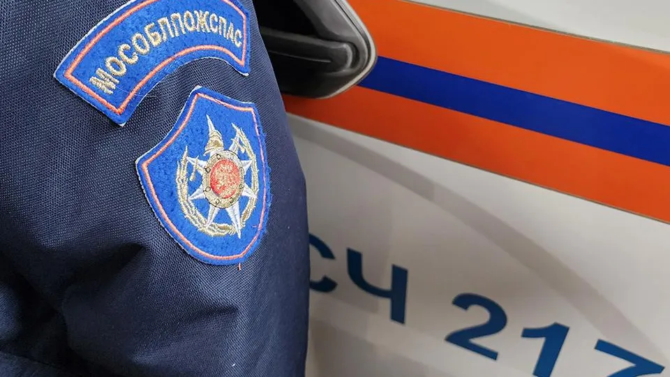 Фото: МедиаБанк Подмосковья/Юлия Андросова