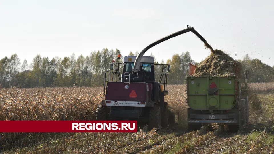 Фото: Владимир Останин