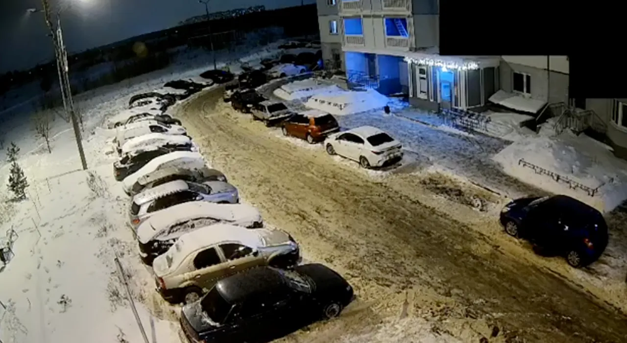 Фото: соцсети