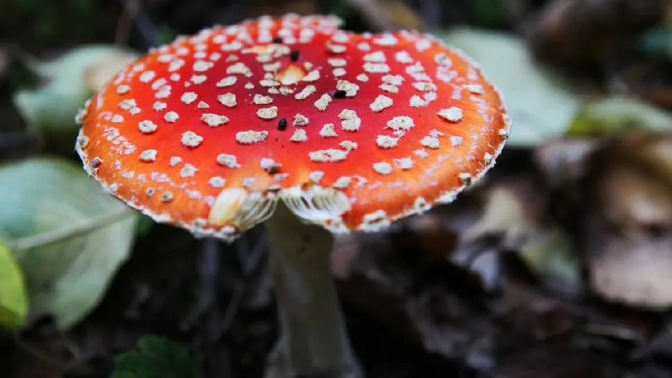 Фото: РИА Новости/Мария Девахина