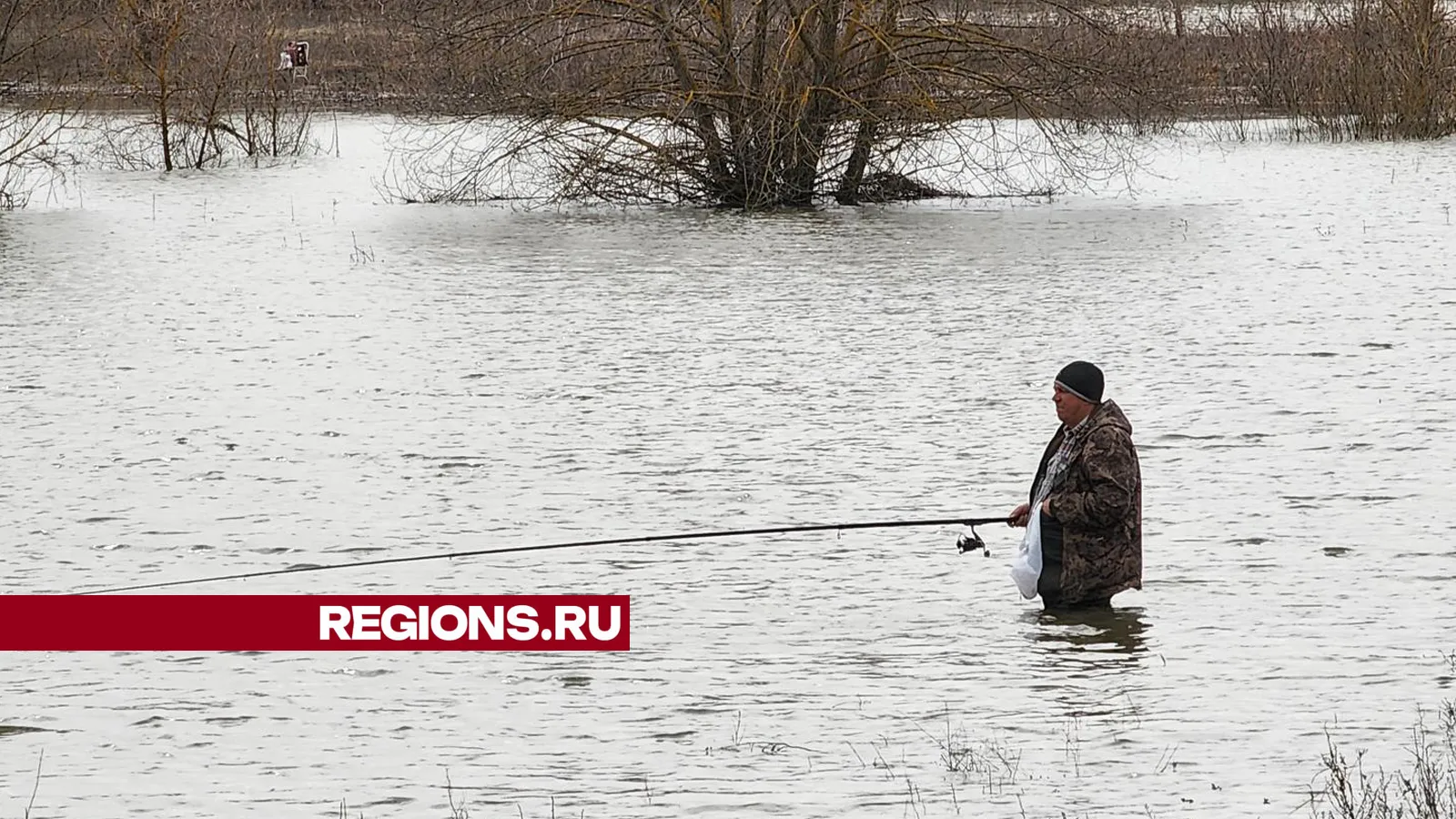 Фото: Андрей Семибратов
