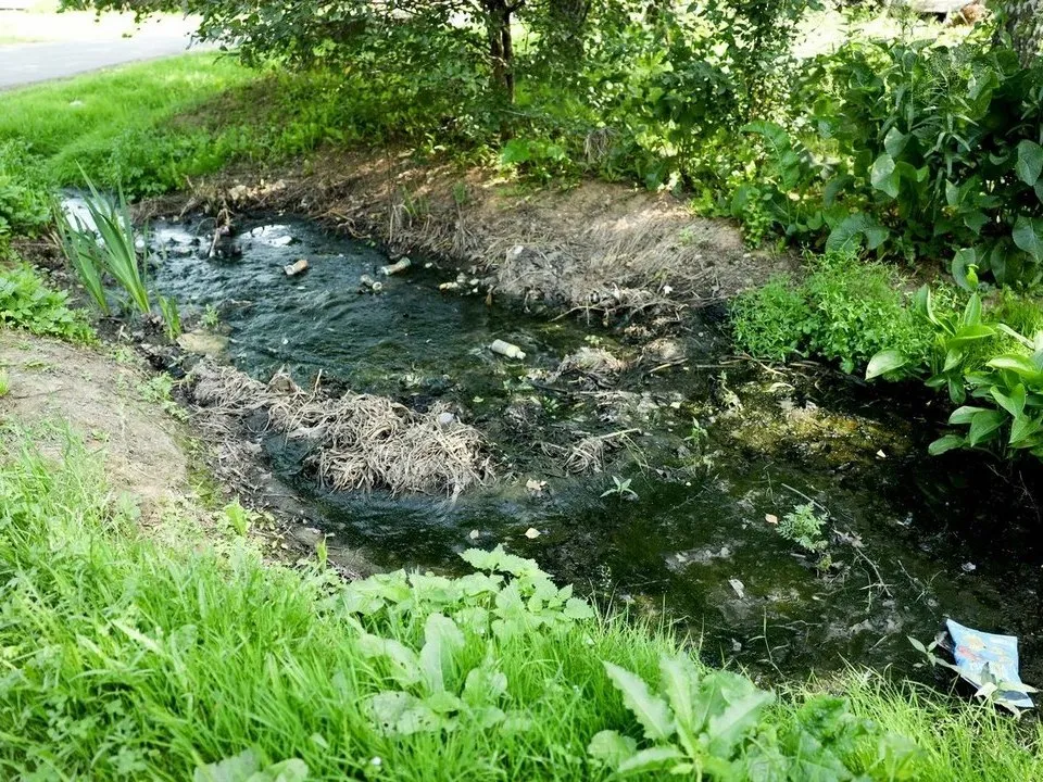 Фото: пресс-служба администрации г.о. Мытищи