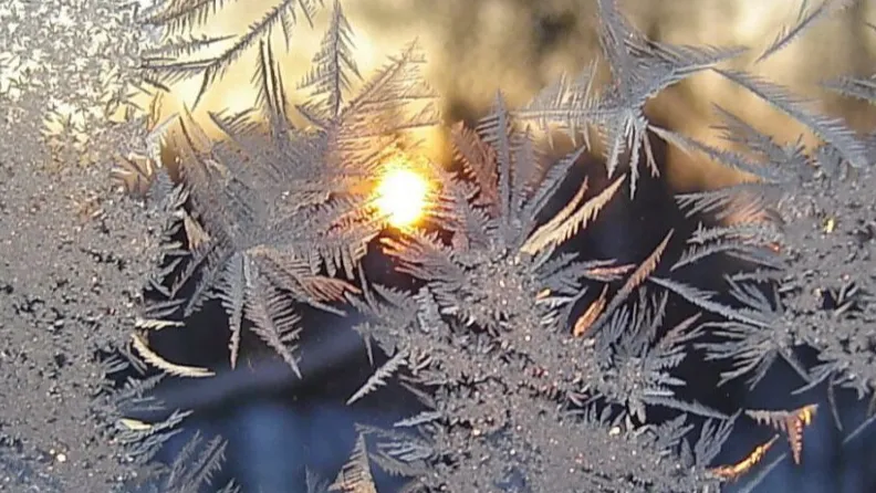 фото:.freepik.com