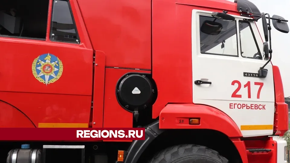 Фото: Василий Тремасов / Regions