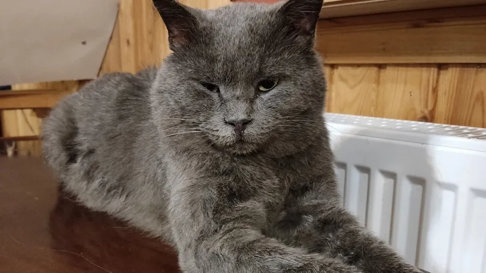 Фото: личный архив Владиславы Т.