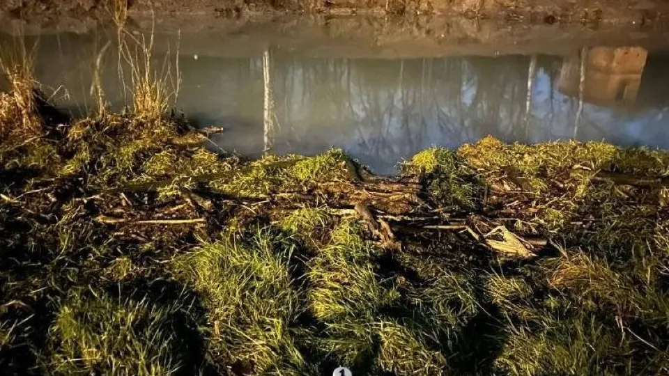 Фото: Минэкологии МО