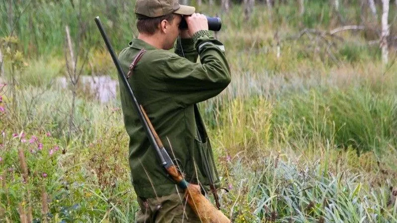 Охота на копытных животных открывается в Подмосковье