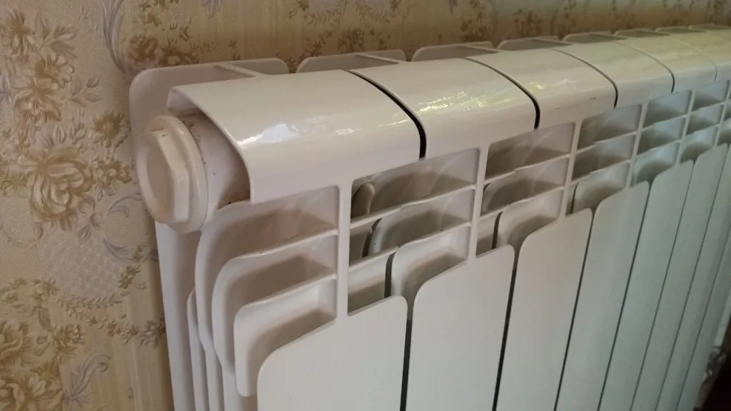 Фото: REGIONS/Василий Тремасов