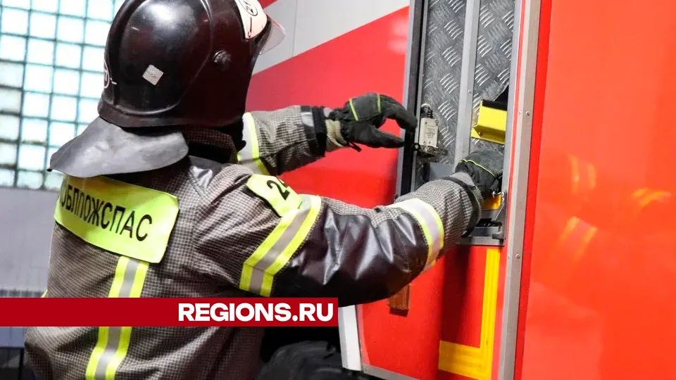 Фото: REGIONS/Василий Тремасов