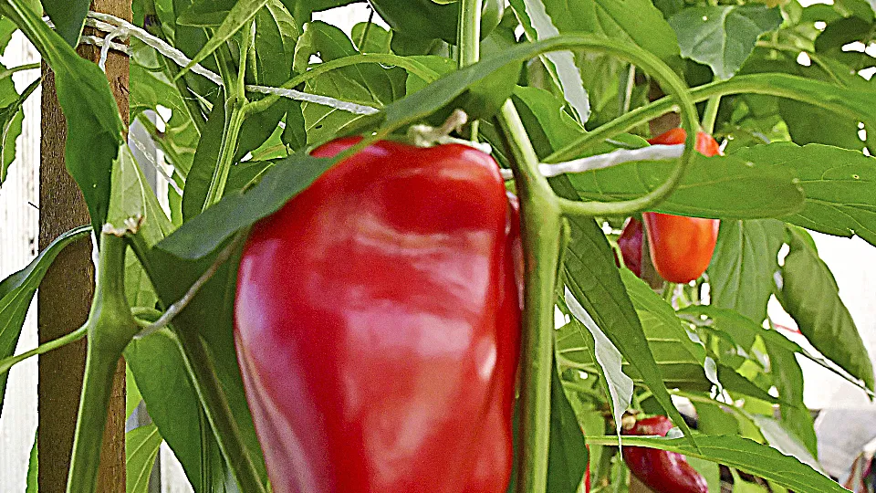 Фото: Наталья Бычкова