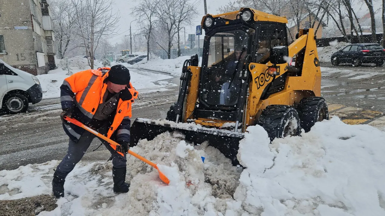 МедиаБанк Подмосковья/Ольга Вельшикаева