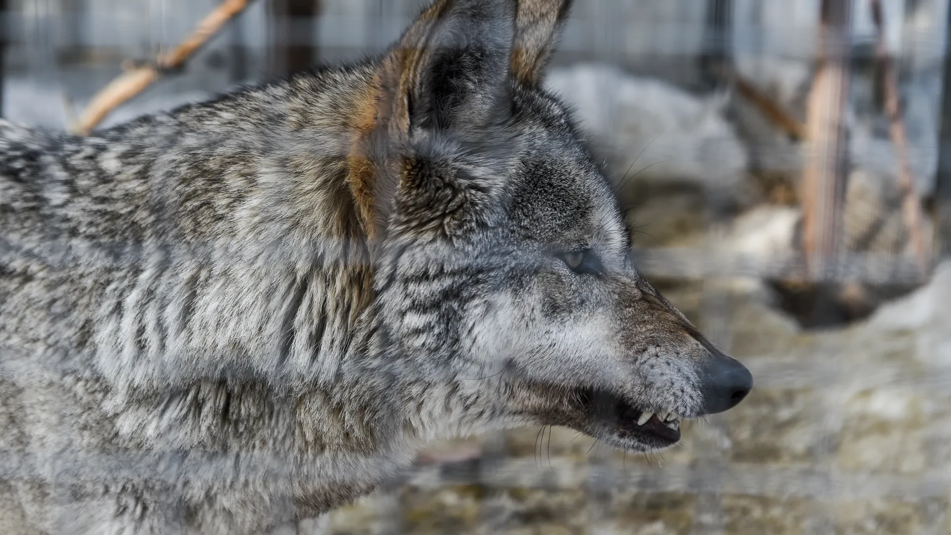 медиасток.рф