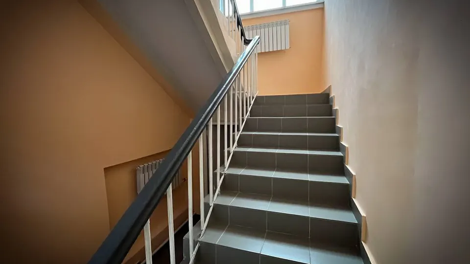 Фото: пресс-служба депутата Московской областной Думы Марка Черемисова