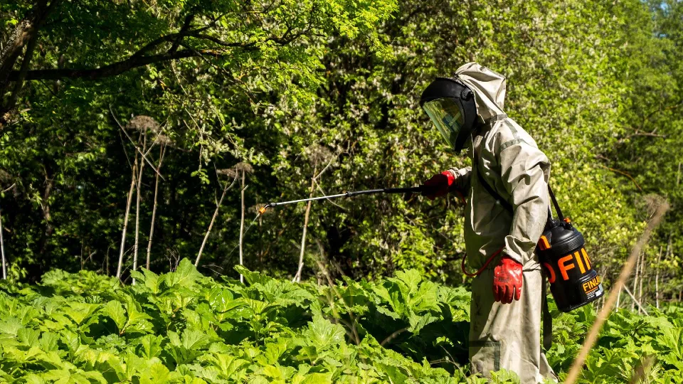 Фото: Министерство сельского хозяйства и продовольствия Московской области