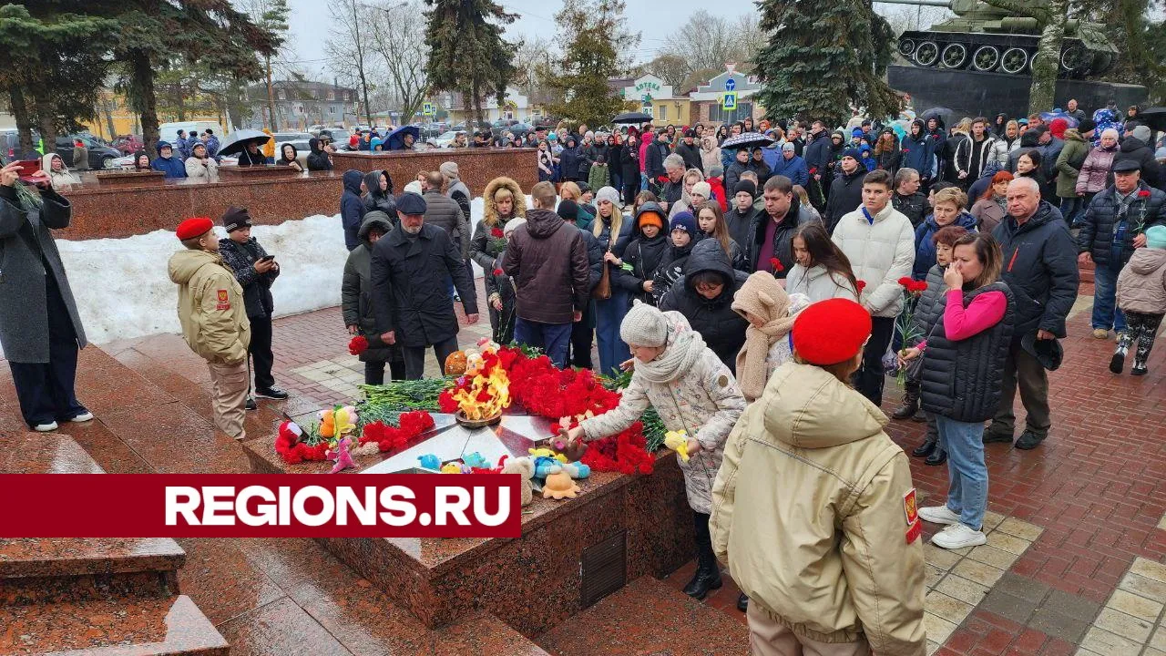 фото, видео: Елена Лабзина