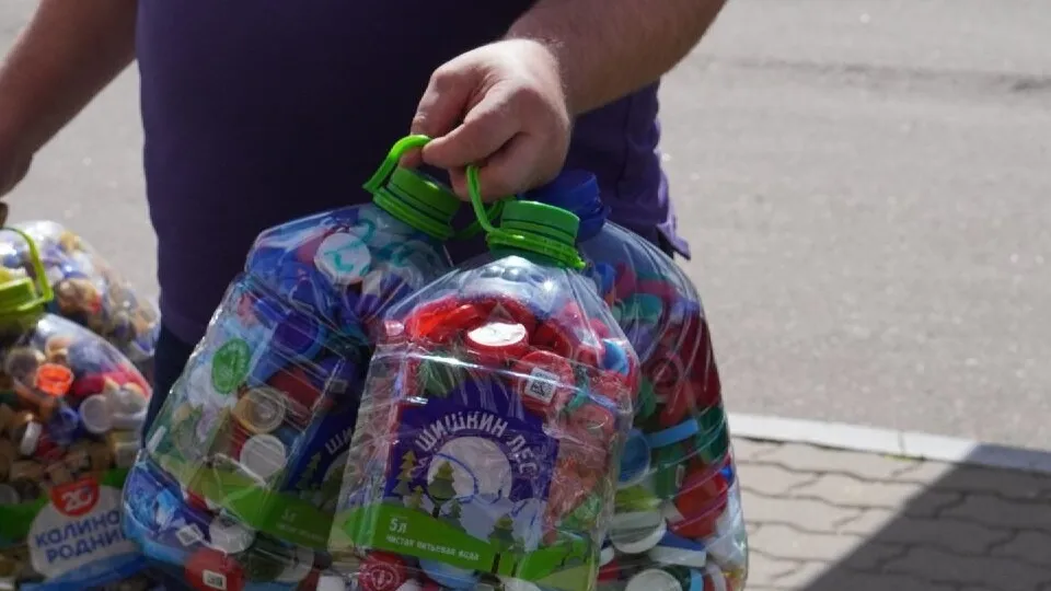 Фото: ЦКР «Вертикаль»