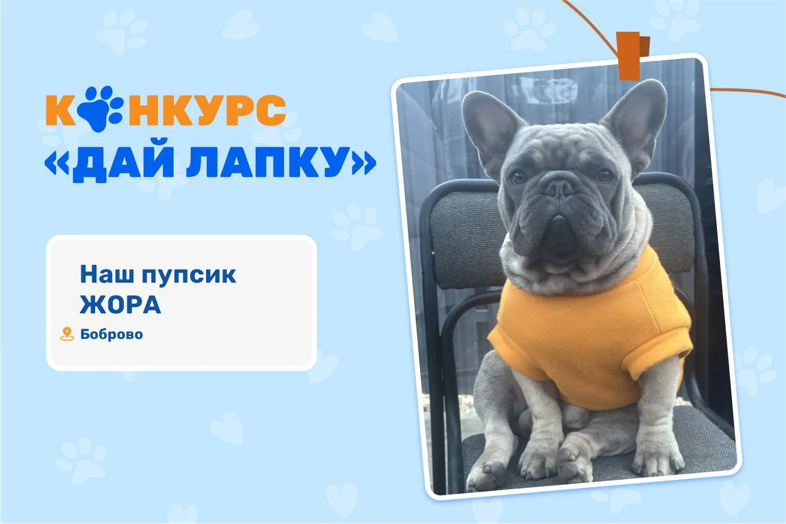 Фото: МосОблЕИРЦ