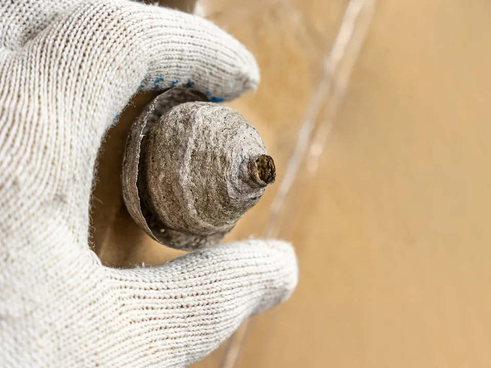 Фото: istockphoto.com