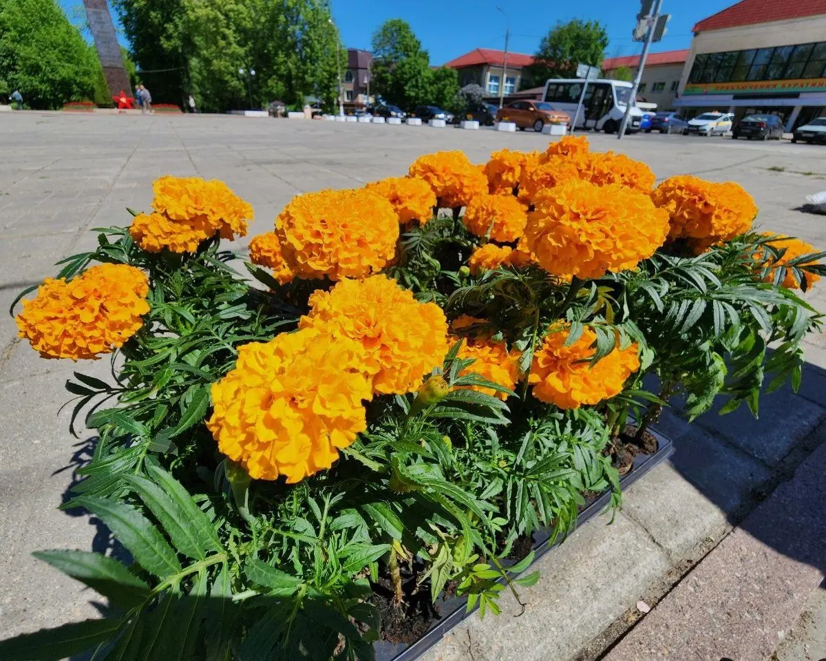 Фото: Яна Шаливская