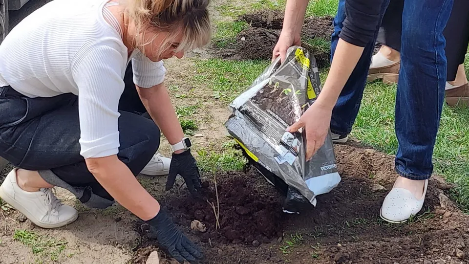 Фото: Ксения Пашуто