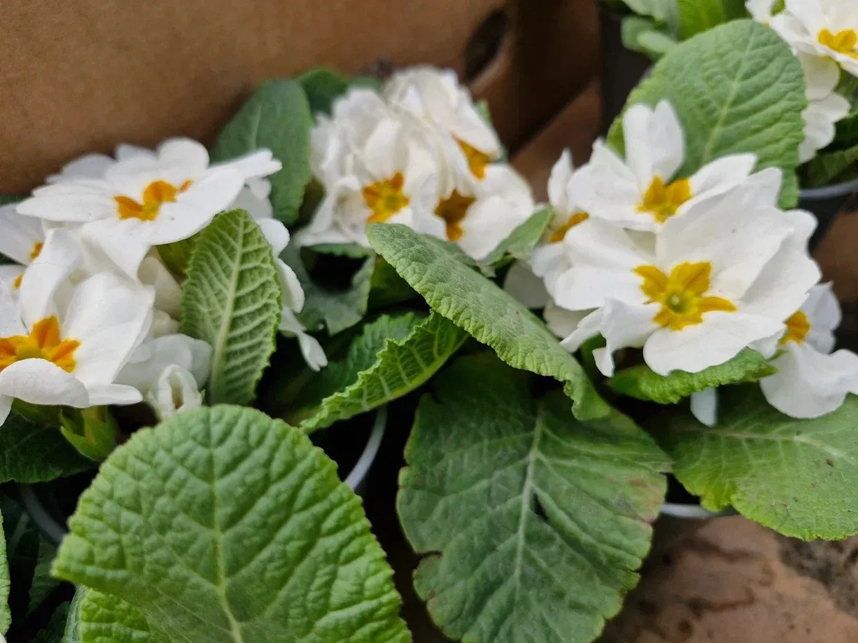 Фото: REGIONS/Наталия Надточая